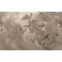 TECNOGRFICA | Tapet Silken Petals, Culoare: Warm Taupe Mist