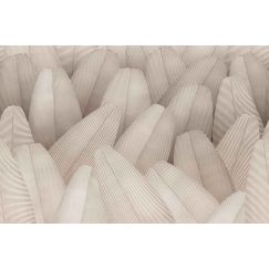 TECNOGRFICA | Tapet Honduras, Culoare: White