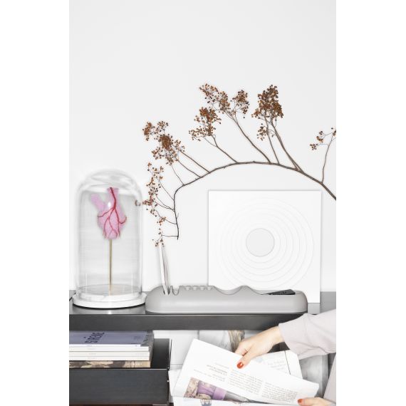 B—Line | Suport BOB, Color: Dust, 2 image