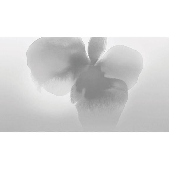 LONDONART |  Tapet Petal Glow, Culoare: Silver Mist