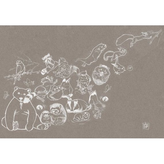 TECNOGRFICA | Tapet Jump, Culoare: Paper Chalk