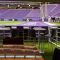 Minnesota Vikings Stadium | ANDREU WORLD